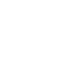 Max logo